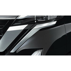  Y NISSAN B45An[NX N[tgop[tBjbV[ DUPL0 F2070-7NA0A ROOX