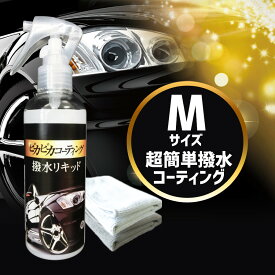 ガラスコーティング剤 業務用 車用品 洗車用品カー 洗車 ガラスコーティング[ピカピカコーティング撥水リキッド Mサイズ]