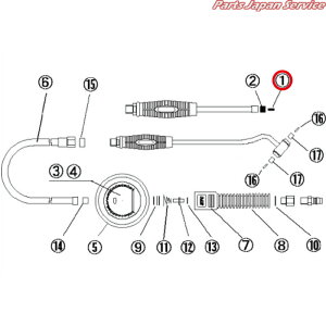 RlN^-EVs AGT23-A1-1