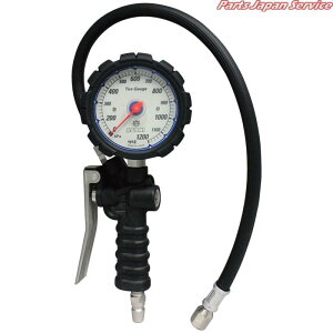 �Q�[�W�{�^��EX1200�{�̂̂� AGE-1200R