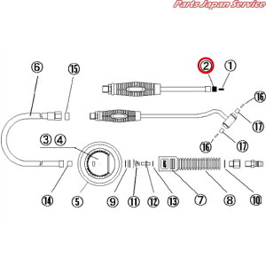 RlN^-ES AGT23-A1-2