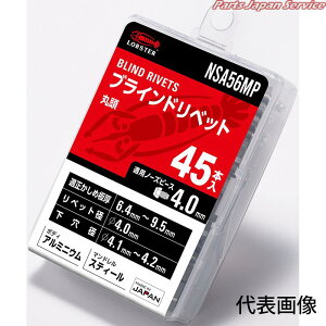�G�r���x�b�g(45) NSA58KMP