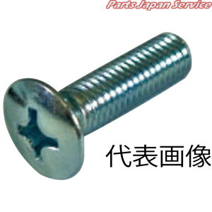 +丸皿ビス6×12CM全ネジ 4612-M612