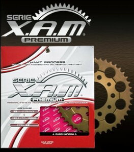 XAM ���A�X�v���P�b�g�E�v���~�A�� 520 / 38-48T�iA4406X�j YZF-R25 MT-25 NINJA250 ZEPHYR400/KAI��