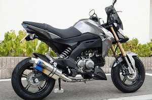 WR'S Kawasaki Z125PROp ĂF`^I[o/tGL][XgiLM4110JMj