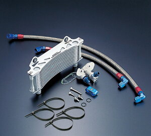 ACTIVE Z1000J Z1000R �I�C���N�[���[�L�b�g (�T�C�h��) ���E���h #8 9-10R �u���b�N�d�l (�T�[���Ή��L�b�g) AC14037310BC