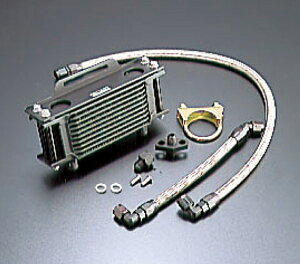 ACTIVE SR500 SR400 �I�C���N�[���[�L�b�g (��) �X�g���[�g #6 4.5-10R AC14053510