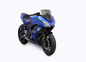 ZERO GRAVITY Ninja650/ABS �X�N���[�� SR�^�C�v �N���A 2020801