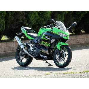 WR'S Kawasaki Ninja250('18-) XeX/XeX Eh^CvXbvITCT[ BF4270JM