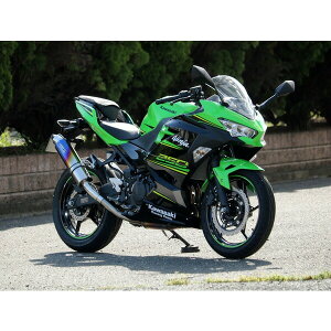 WR'S Kawasaki Ninja250('18-) XeX/ĂF`^ Eh^CvXbvITCT[ BK4270JM
