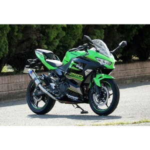 WR'S Kawasaki 2018 Ninja250 jW 2BK-EX250P `^I[o ĂF ^Cv XbvITCT[ SV4270JM