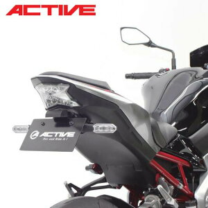 ACTIVE Kawasaki Z900/ Z H2 tF_[XLbgiLEDio[tj 1157098