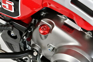 GNtg CT125 rbgtB^[Lbv 32608