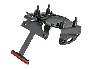 DAYTONA CB1000F LED�t�F���_�[���X�L�b�g�i�i���o�[��t�X�e�[�j 62577