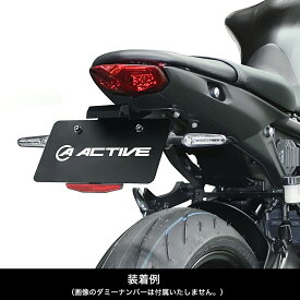 ACTIVE YAMAHA MT-09 ('21-) フェンダーレスキット 1153068