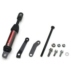 ACTIVE（アクティブ） HONDA CB250R パフォーマンスダンパー 13691103