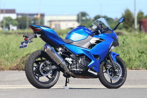 A[YMA Kawasaki Ninja250 jW250 p CoAXybN ^CvS XbvI `^|bV RK33-03ST