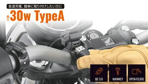 DAYTONA oCNpUSBd Type-A QC3.0 30W CL[A 41545