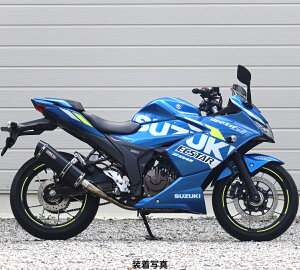 WR'S SUZUKI WNT[SF250 SS-OVALtGL][Xg}t[iF-BLACK`^j LF3250JM