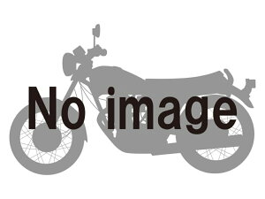 DAYTONA XgK[`F[bN 3.0m 8 48412