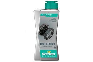 DAYTONA MOTOREX gCAMAIC 49493