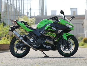 WR'S Kawasaki 2018 Ninja250 �j���W�� 2BK-EX250P �`�^���I�[�o�� �\���b�h �^�C�v �X���b�v�I���T�C�����T�[ OV4270JM