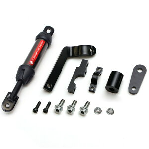 ACTIVE�i�A�N�e�B�u�j Kawasaki Z650RS �p�t�H�[�}���X�_���p�[ 13691705