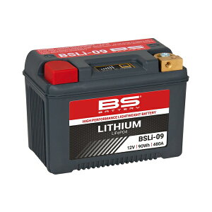 BS BATTERY�iBS�o�b�e���[�j ���`�E���C�I���o�b�e���[ BSLi-09