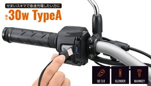 DAYTONA �o�C�N��p�d�� �X�����_�[USB Type-A QC3.0 30W ���C���L�[�A�� 41372