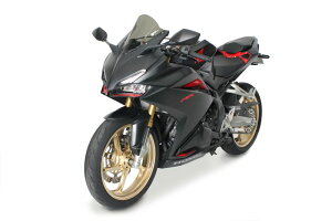 ZERO GRAVITY�i�[���O���r�e�B�j CBR250R/350R(14-16) �X�N���[�� �_�u���o�u��