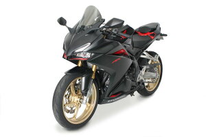 ZERO GRAVITY�i�[���O���r�e�B�j CBR250RR(17-22) �X�N���[�� �R���T