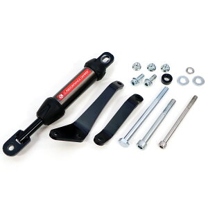 ACTIVE�i�A�N�e�B�u�j SUZUKI V-STROM250SX �p�t�H�[�}���X�_���p�[ 13691505