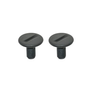 LEAD�i���[�h�H�Ɓj RX-100R2/Klein�p�r�X BC-10B
