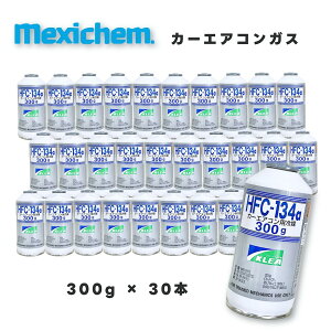 LVPWp GARKX R134a 300g 30{Zbg KLEA300