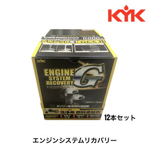 É͖iH GWVXeJo[G 300ml 12{Zbg K\GWԐp Rn J[{ J[{f|Wbg RP 6  5000L  ˃m