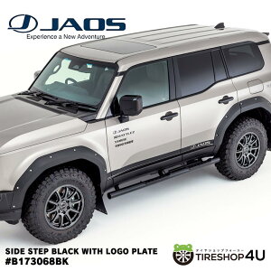 yő2000~OFFzyN250z JAOS WIX TChXebv ubN hN[U[ 250n N250 B173068BK@Ԋ֌W̖@l̂ݑΉƂȂ܂B