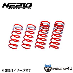 �y�ő�P47�{�z�yTANABE�z�y�^�i�x�z�J�X�^���X�v�����O SUSTEC NF210 �T�X�e�b�N �G�k�G�t210 ���F���t�@�C�A�n�C�u���b�h �A���t�@�[�h AAHH40W�@A25A-FXS