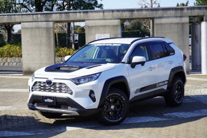 yőP10{zRAV4 HYBRIDEG"ZEGEXp KADDIS AR4I[o[tF_[ KD-EX17005 JX^ p[c i JfBX [J[̈בslt͕ʓrςƂȂ܂BA