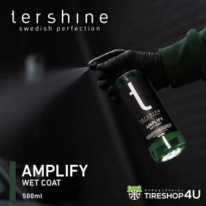 yő2000~OFFzyKiztershine Amplify Wet Coat EFbgR[g 500ml ^[VC  ȒP{H ԗp Zk^Cv KX  zC[Ή ԗpR[eBO  Zt R[e