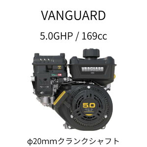 VANGUARD 169cc 5.0GHP GW Model 10V332