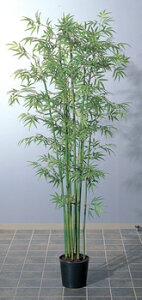 yiz ou[c[S |bgt(200cm) A-56005 y [ tFCNO[  CeAO[ fR[V fBXvC Xܑi | lHϗtA ̑i POP  Ȃ΂ z