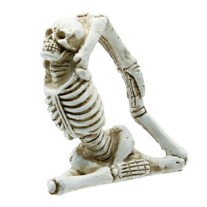 yiz 7.5cm KCRcA y u nEB G z[ IuWF | u opi z