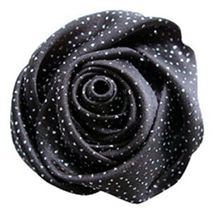 }WJ V[YfR [Y ubN y ANZT[ ubN  C t@bV CCpi CPApi yA V[YPA z