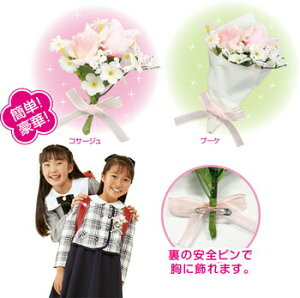 yiz [6_Zbg] RT[WEu[PZbg y ʉ  [ F ސE wZ LO w 񂹏 ׋ j   z