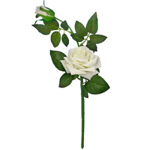 [5_Zbg] ԃo Xv[zCg ڂݕt y ϗtA  POP ~jTCY lHϗtA fR[V  A[gt[ ̑i ΂ KN [Y tFCNt[ Ce