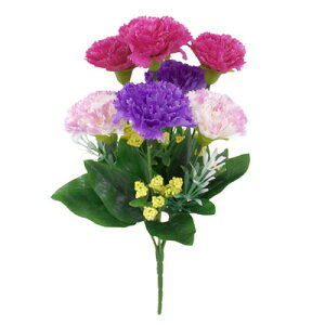 J[l[V ̓ ̓J[l[V [5_Zbg] J[l[Vu[P p[v~bNX y  CeA ϗtA  u[P  lHϗtA fR[V Xܑ