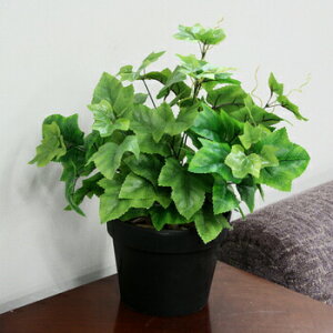 lHϗtA O[v[uX Δ 45cm y ϗtA  tFCNO[ ~j ~jϗtA ʎ CeAO[ ~jTCY z