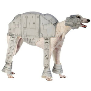AT-ATybgRX`[M y ybgpi  Ck hbOEFA ybgObY pi  z