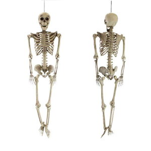 160cmgXPg y XJ hN ݂ z[fBXvC ݕ KCRc u z[nMO ݂蕨 nMOXPg ݂艺 nEB G [ | z