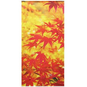 モミジ もみじ ホビーの人気商品 通販 価格比較 価格 Com